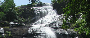 Chethalayam Falls Wayanad